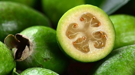 Сезонные продукты